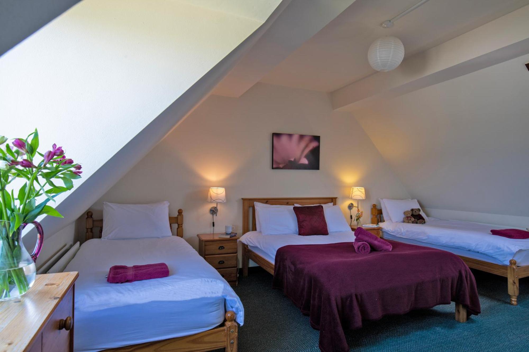 Charlie'S Cottage With Alpacas And 7Mins Drive To Alton Towers 덴스톤 외부 사진
